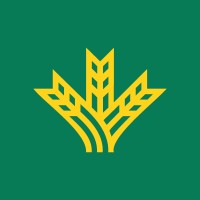 Grupo Caja Rural logo - Similar company to Olimpiada Informática Española