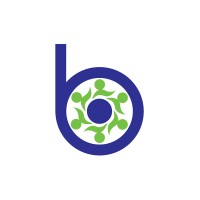 Bloomlync Technology logo - Similar company to Lapis Data Analytics