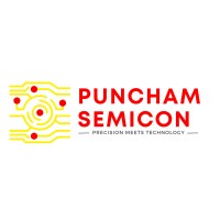 Puncham Semicon logo - Similar company to Iclabs.In