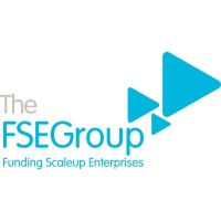 The FSE Group logo - Similar company to The Lightning Group