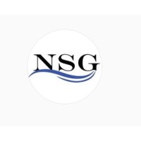 NSG CONSULTING logo - Similar company to Nsg Consulting Inc.