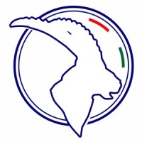 BM Global Diffusion S.r.l. logo - Similar company to Spea Leather