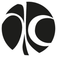 Danzi Consulting logo - Similar company to Yallagan