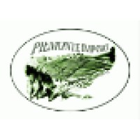 Piemonte Import logo - Similar company to Tecno Piemonte - S.P.A.