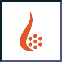 Perdaman Global Services logo - Similar company to Perdaman Advanced Energy