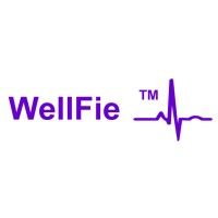 Wellfie logo - Similar company to 1Millionresume