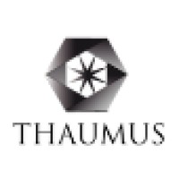 THAUMUS logo - Similar company to Vigilens