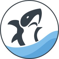 Shark Attack Ltd logo - Similar company to Evolve Adapt Survive