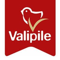 Valipile d.o.o. logo - Similar company to Arfa Services D.O.O.