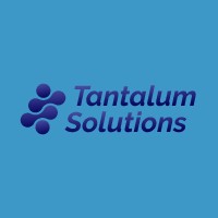 Tantalum Solutions logo - Similar company to Mint - Moments In Time