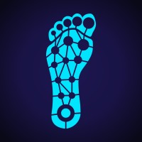 Brilliant Sole logo - Similar company to Brilliant Labs