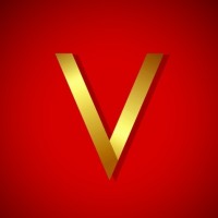 Vanmillion Studios logo - Similar company to Mintybrain