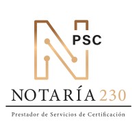 PSC Notaria 230 logo - Similar company to Svis Cloud