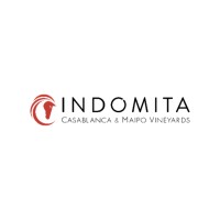 Viña Indómita logo - Similar company to Playpro