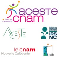 ACESTE CNAM logo - Similar company to Devenir