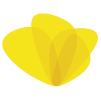 Coppieters Foundation logo - Similar company to Dentalpic