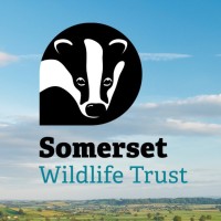 Somerset Wildlife Trust logo - Similar company to Clinton Devon Estates