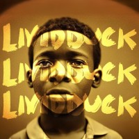 Livid Duck logo - Similar company to Cornerstone Media Group, Inc.