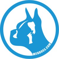 WEBDOGS logo - Similar company to We33Ras It Pvt Ltd