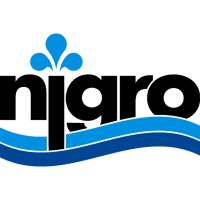 NIGRO GROUP S.R.L. logo - Similar company to Funaroingegneria