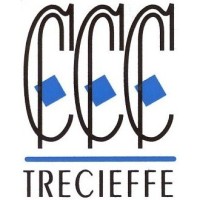 Trecieffe logo - Similar company to Milani Srl