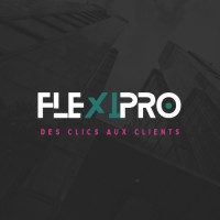 FlexiPro logo - Similar company to Intellium Technologies