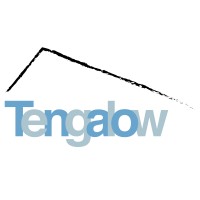 Tengalow logo - Similar company to Egreen-It Solutions, Llc
