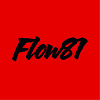 FLOW81 logo - Similar company to Zenit Visuals