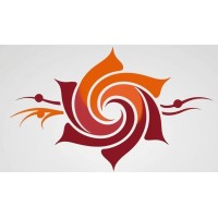 IR Group logo - Similar company to Finalyzer Consultants