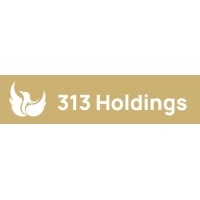 313 Holdings Company Limited logo - Similar company to 313 Capital