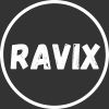 RAViX logo - Similar company to Seed Academy India