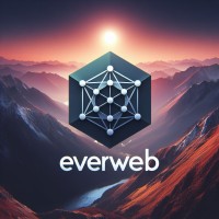 Everweb logo - Similar company to Shay