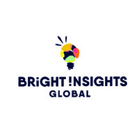 Bright Insights Global LLC logo - Similar company to Syscorp International