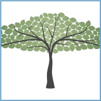 Nomos Journal logo - Similar company to Seed
