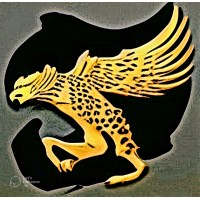 Digital Secret Service logo - Similar company to Esport Service Ivs