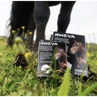 RHEVA logo - Similar company to Datatera Technology