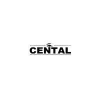 CENTAL-TI logo - Similar company to Aiesec In Liberia