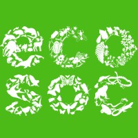 Ecosoc SU logo - Similar company to Plastics Free