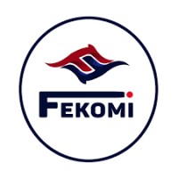 Fekomi Global logo - Similar company to Mavapay