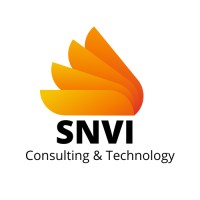 SNVI -  Consulting & Technology logo - Similar company to Snvi