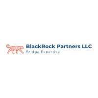 BlackRock Partners LLC logo - Similar company to Mining Law Study Foundation Ngo