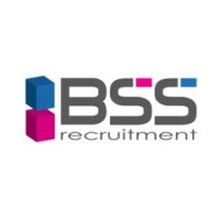 BSS Recruitment logo - Similar company to Bss Recruit