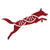 AlphaDog DNA logo - Similar company to Tilting Heads