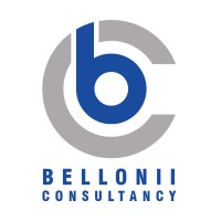 Bellonii Consultancy logo - Similar company to Arun Engineering Consultancy Services
