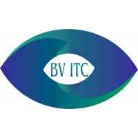 Big Vision ITC logo - Similar company to Rafa Computer Trading