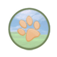 Herr Pet Training Llc