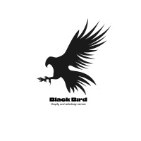 Black bird webdesign logo - Similar company to Edify Studio - Builders | Architects | Marketers Islamabad