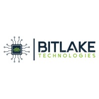 Bitlake Technologies logo - Similar company to Sizzapp
