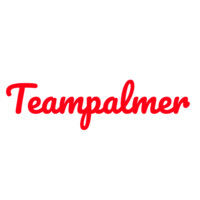 Teampalmer logo - Similar company to Cody Codes