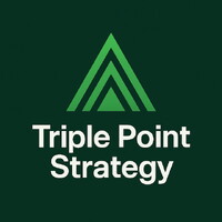 Triple Point Strategy logo - Similar company to Rava Technologies